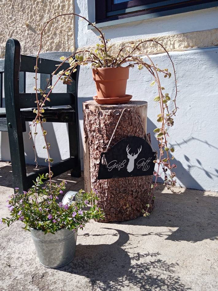 Ganze Ferienwohnung, Ferienhaus zum Moosbauer - Ferienhaus mit drei Schlafzimmern 110 qm in Ainring, Rupertiwinkel