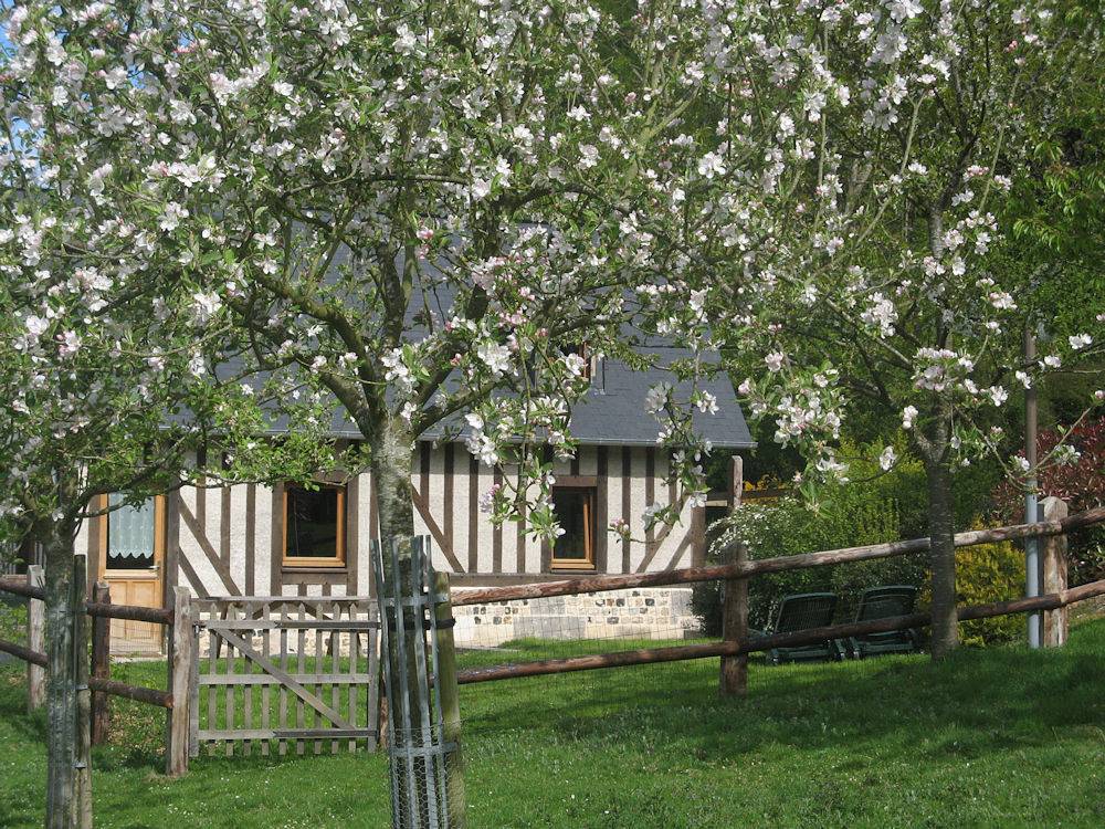 Gîte "La Fruiterie" in Fatouville-Grestain, Côte de Grâce