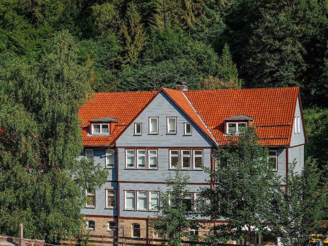 Ganze Wohnung, Gemütliche Ferienwohnung in Lerbach in Osterode, Harzvorland