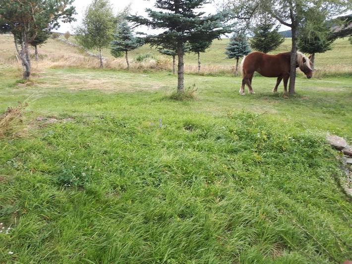 Location de vacances pour 3 personnes, avec vue et jardin à Les Estables - 2