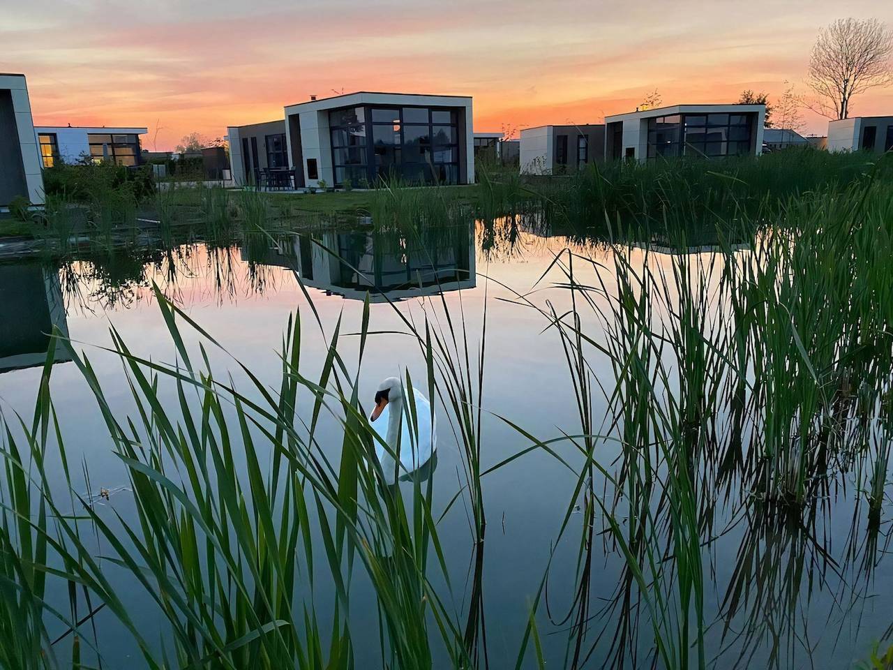 Cabin in Olburgen with swimming pool in IJssel