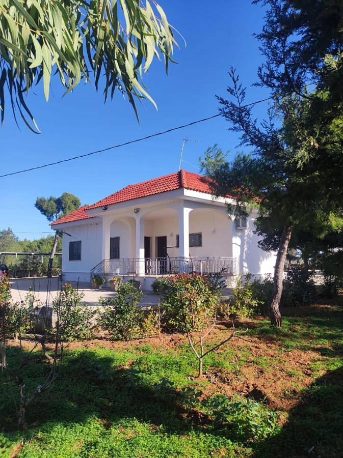 Chambre d’hôte pour 4 personnes, avec jardin et vue, animaux acceptés à Nardò - 2