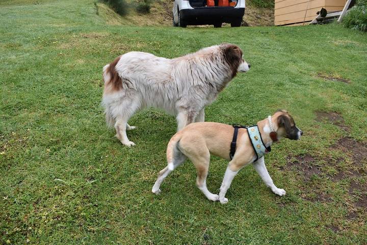 Holiday home for 5 people, with garden and terrace in Great Ocean Road