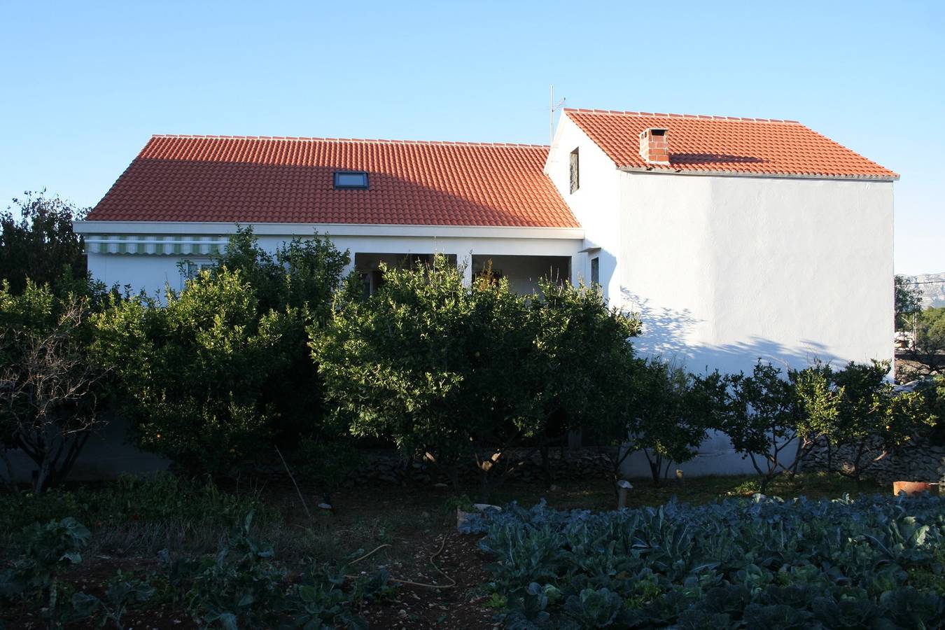 Ganze Wohnung, 2-Zimmer-Ferienwohnung mit Terrasse Povlja, Brac A-2922-d in Povlja, Brac