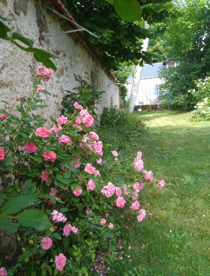 Gîte pour 5 personnes, avec jardin et terrasse ainsi que piscine et jacuzzi à Bourbon-l'Archambault - 3