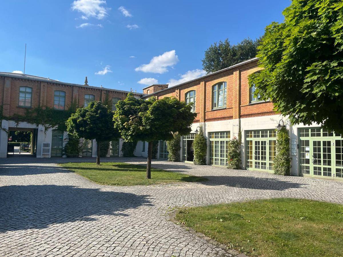 Ganze Wohnung, Richter Apartments Finsterwalde 4 in Finsterwalde, Naturpark niederlausitzer heidelandschaft (Brandenburg)