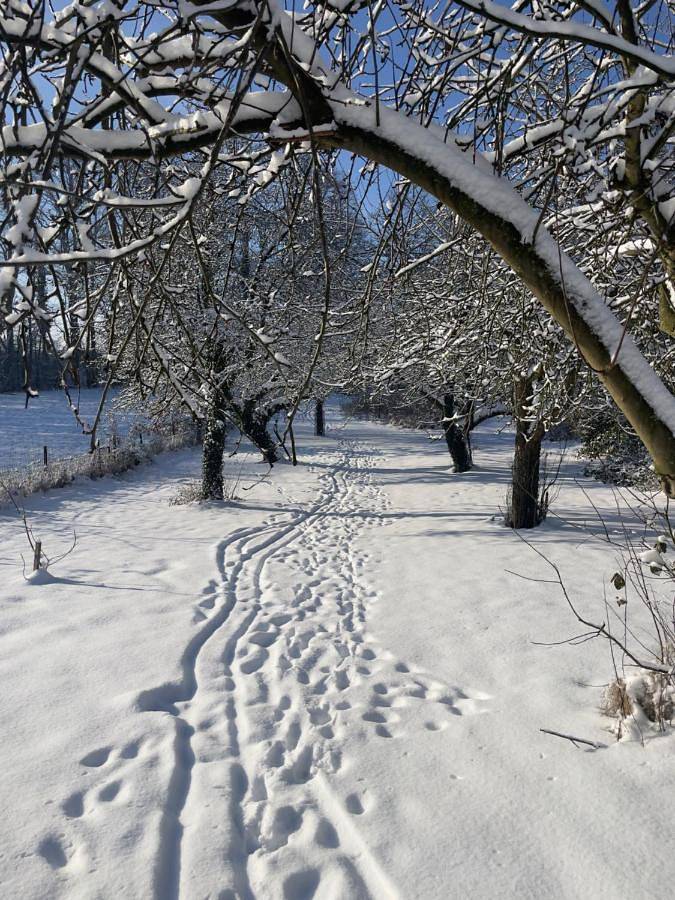 Gîte pour 2 personnes, avec jardin et jacuzzi dans la Province du Brabant wallon - 3