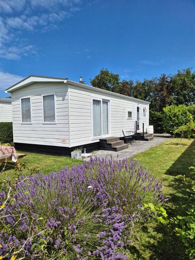 Ferienhaus für 5 Personen, mit Pool und Garten sowie Terrasse in Petten