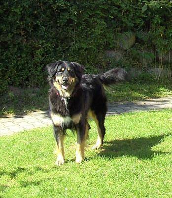 Ferienhaus in Zandt mit Kleiner Terrasse in Zandt, Ostbayern
