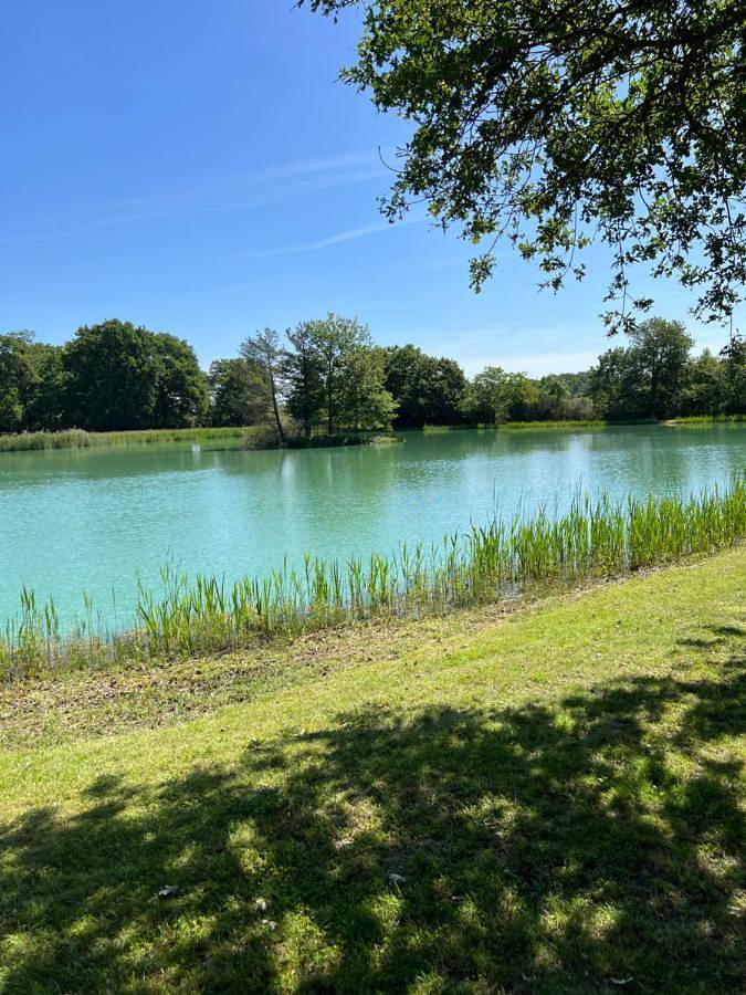 Location de vacances pour 5 personnes, avec jardin et piscine à Vendœuvres - 3
