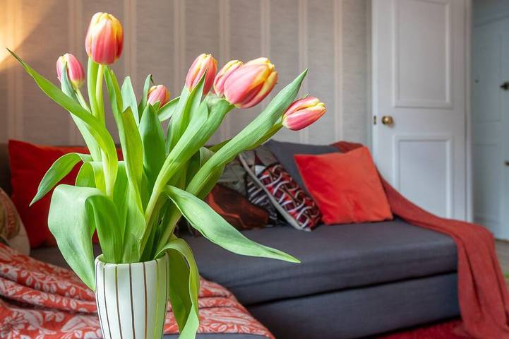 Apartamento para 4 personas, con jacuzzi en Covent Garden