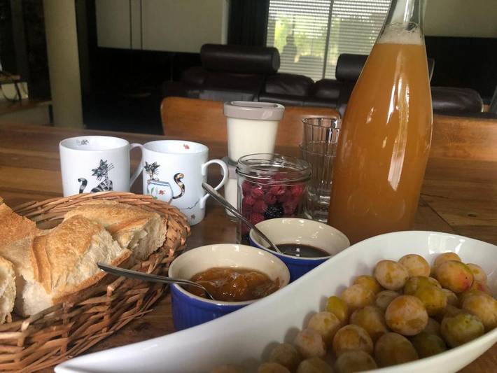 Chambre d’hôte pour 5 personnes, avec vue et jardin, animaux acceptés dans Verdun - 2