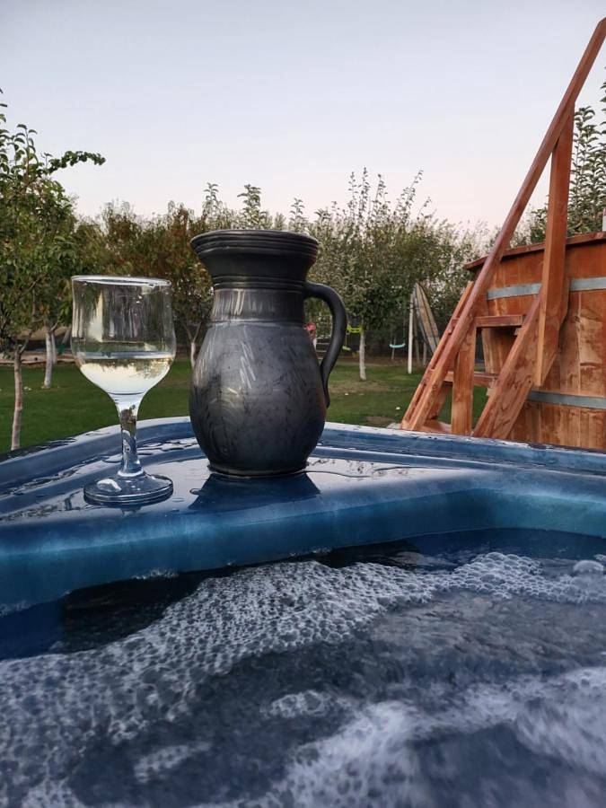 Maison d’hôte pour 2 personnes, avec jacuzzi et jardin ainsi que piscine et sauna, adapté aux familles en Roumanie