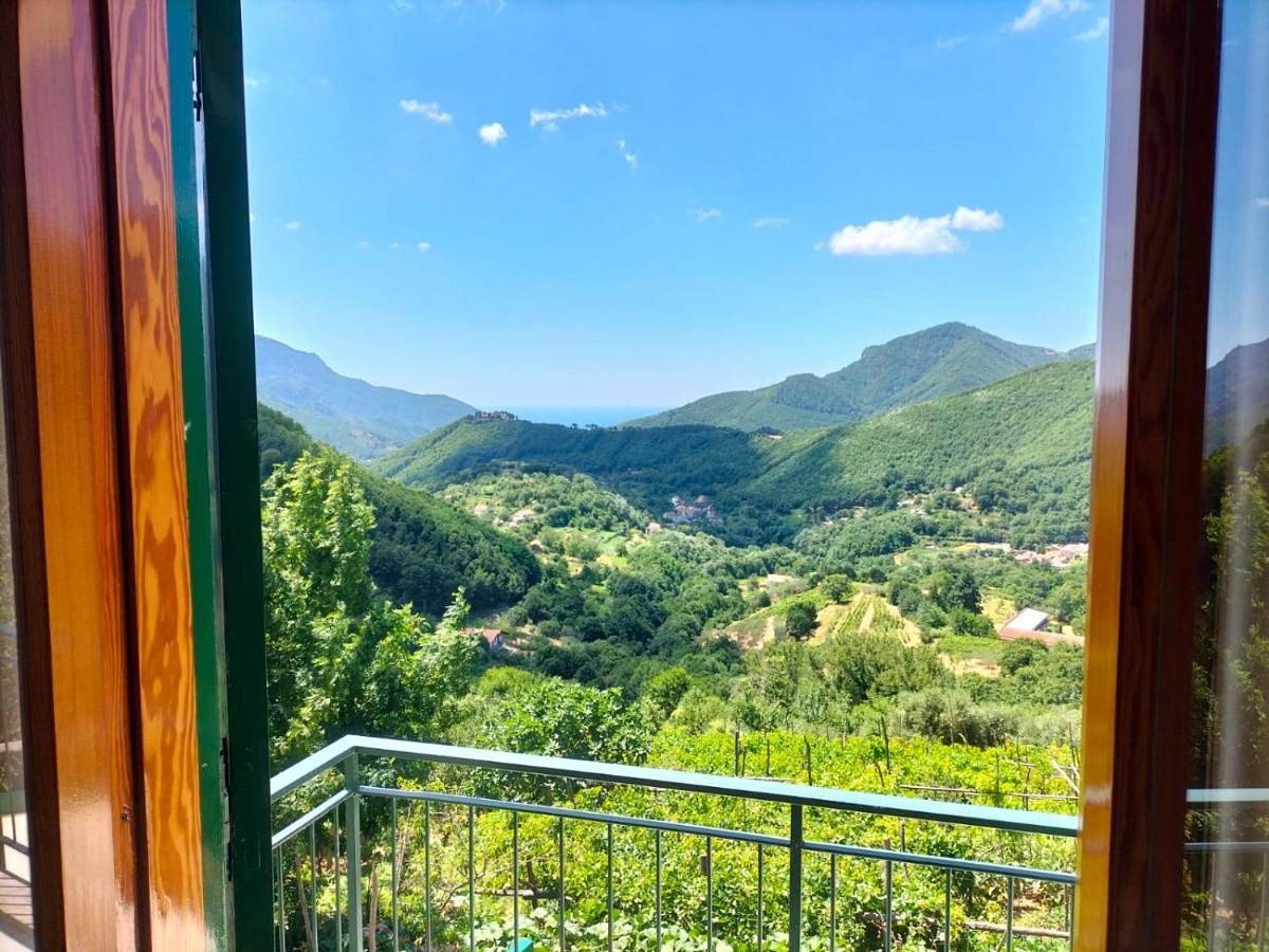 La Casa in Vigna in Tramonti, Monti Lattari