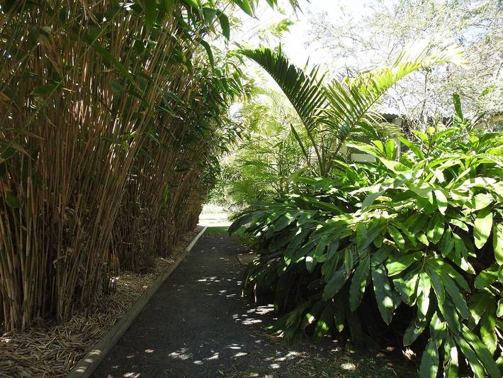Log cabin for 4 people, with garden and terrace in Australia