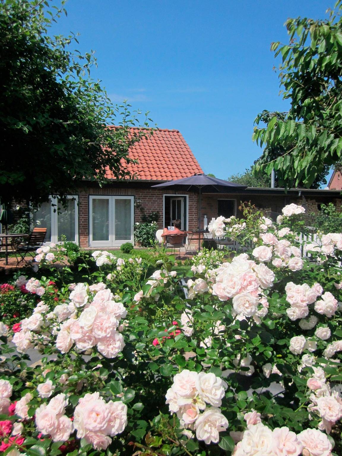 Ganze Ferienwohnung, "Rosenkate 1" in Riepsdorf, Ostholstein
