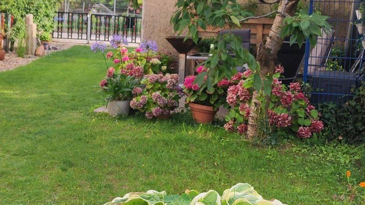 Ferienhaus für 3 Personen (63 m²) in Waren (Müritz) in Waren (Müritz), Lago Müritz