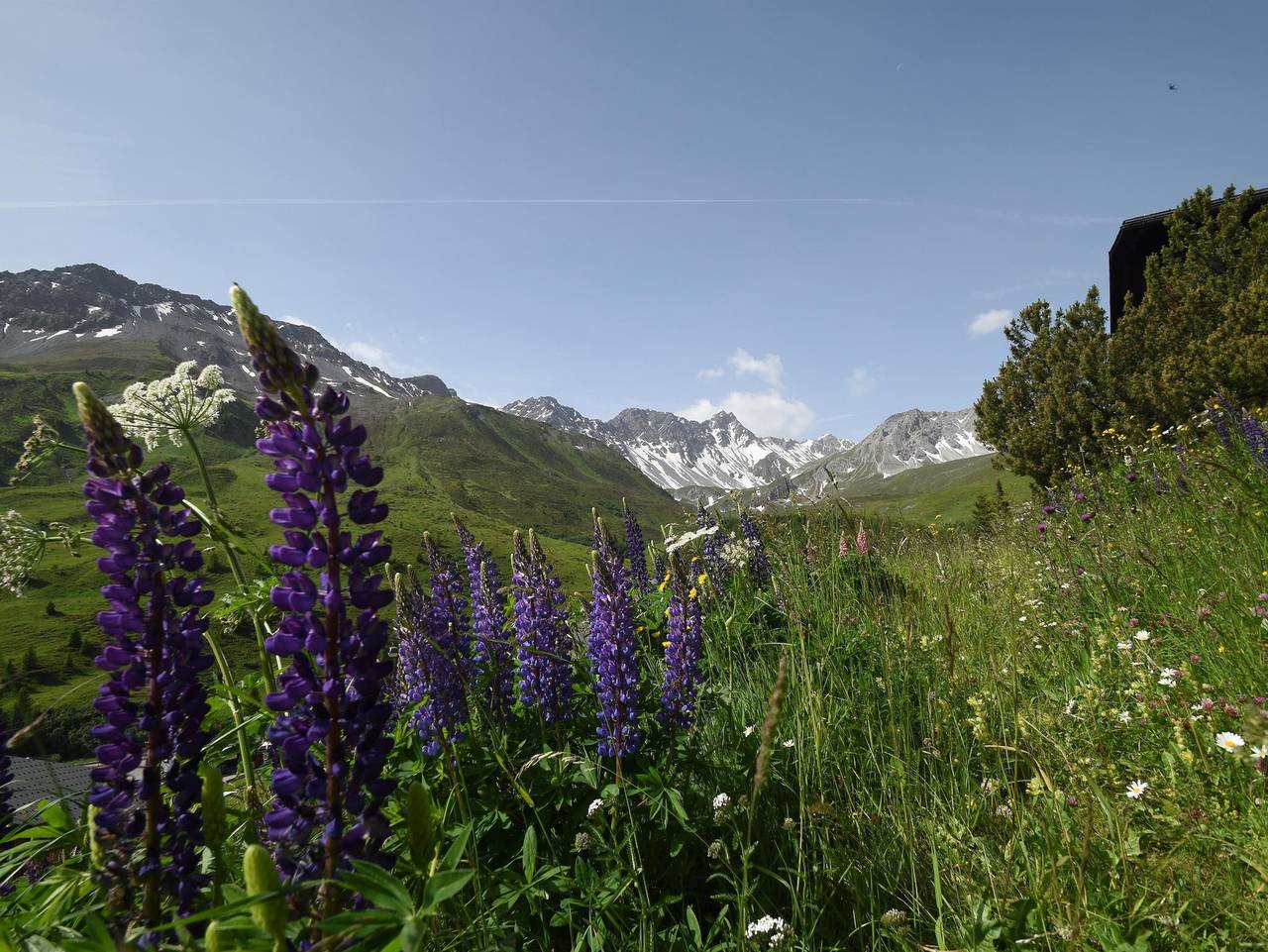 Ganze Ferienwohnung, Chalet Christina 7 - 4-Bettwohnung in Arosa, Plessur Alpen