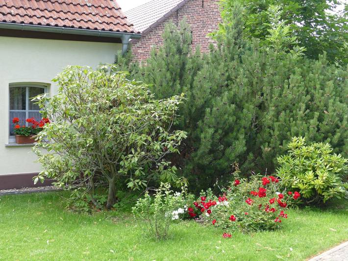 Ferienhaus für 8 Personen, mit Terrasse und Garten, kinderfreundlich in Bad Saarow