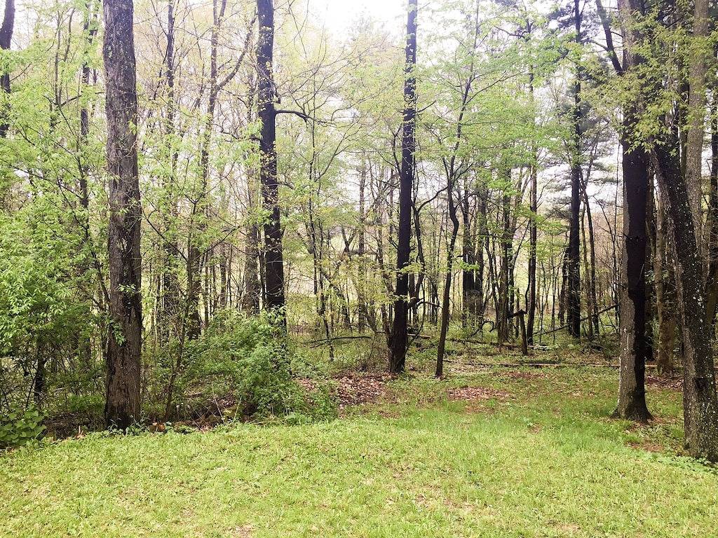 Familienfreundlich In der Nähe von Mohican - möbliert 3 Br mit Terrasse und einer Feuerstelle in Holmes County