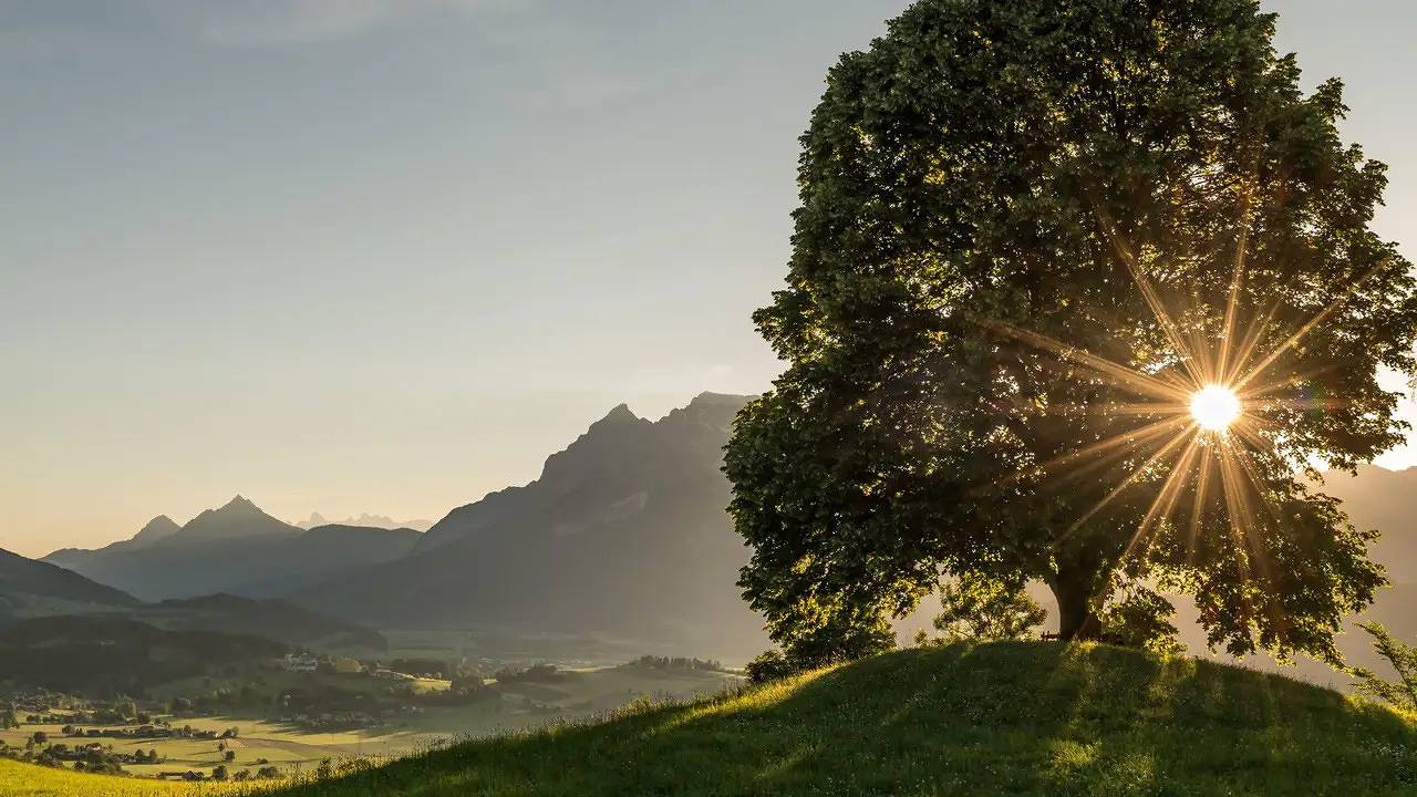 Ganze Ferienwohnung, Ferienwohnung für 4 Personen (40 m²) in Aigen im Ennstal in Rottenmanner und Wölzer Tauern, Tauern