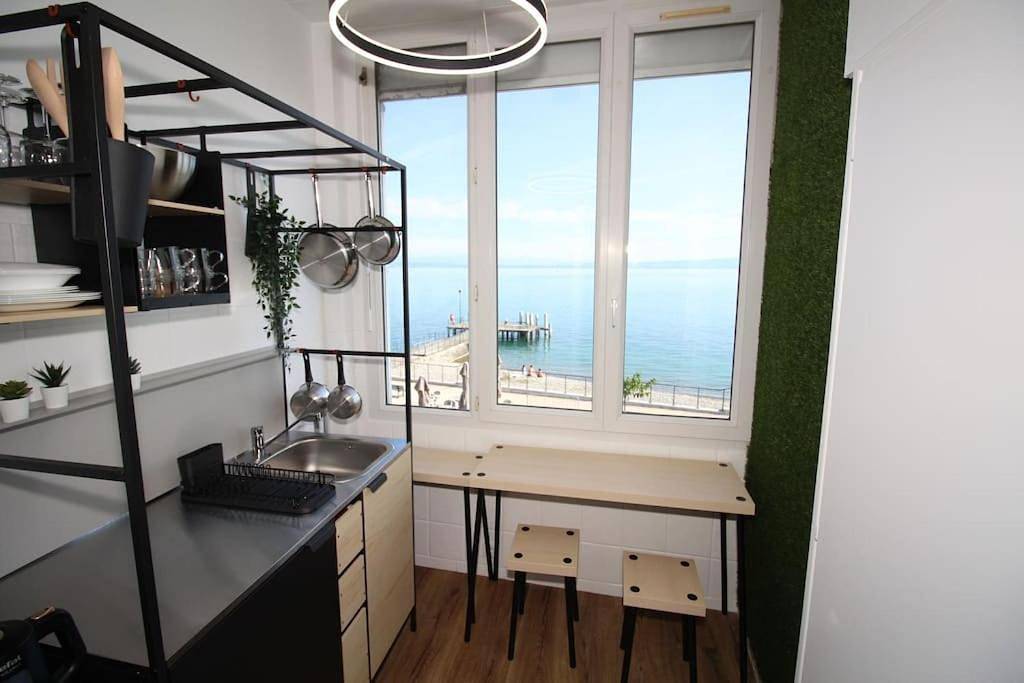 Appartement entier, One-Bedroom Apartment in Publier, Région de Thonon-les-Bains
