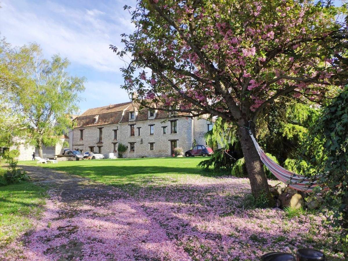 La Fauconnerie Du Roy in Montainville, Yvelines