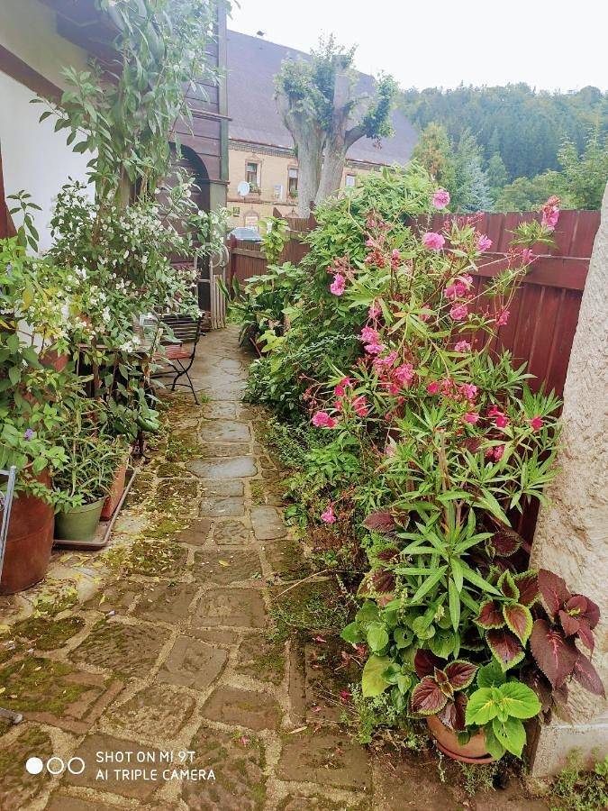 BnB für 4 Personen, mit Garten und Ausblick, mit Haustier in Tschechien - 4