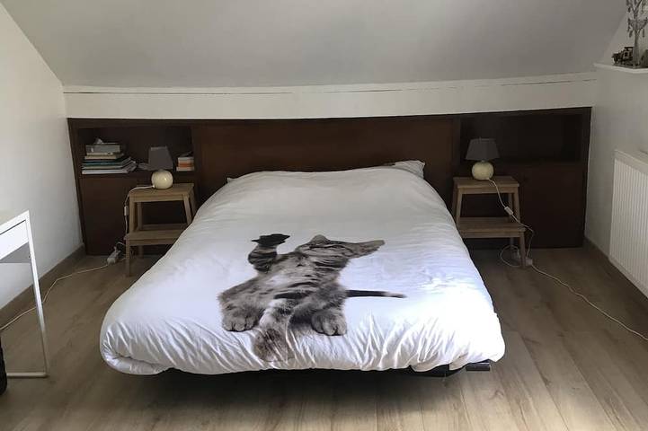 Location de vacances pour 5 personnes, avec jardin à Saint-Jean-de-Braye - 2