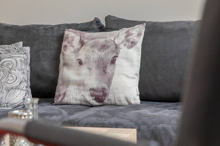 Ferienhaus für 4 Personen, mit Terrasse und Garten in Oostkapelle - 3