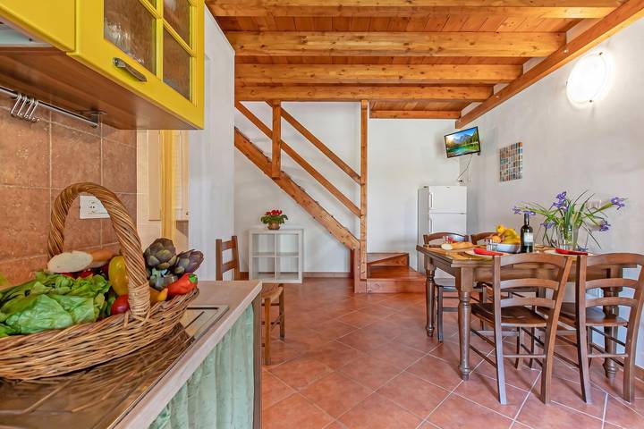 Ferienwohnung für 4 Personen in Cecina - 4