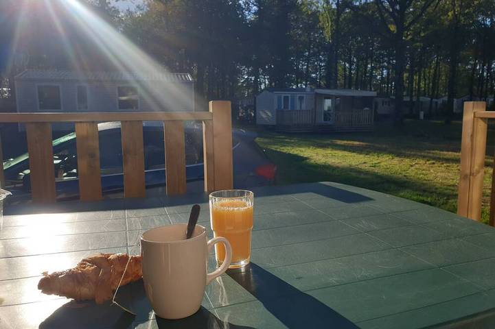 Mobil home pour 6 personnes à La Boissière-de-Montaigu - 4