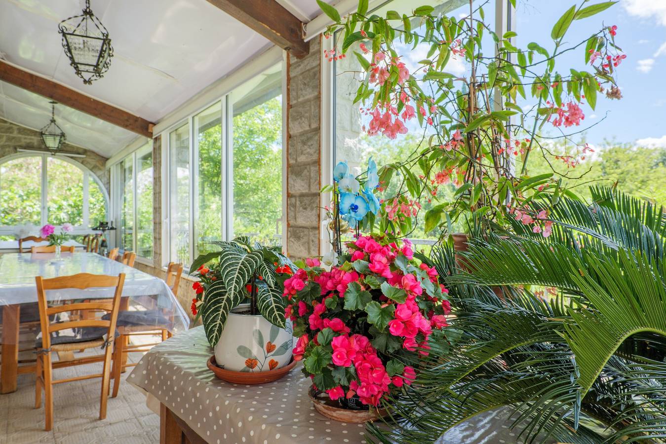 Gastenkamer 'Chambre Catherine' met gedeeld zwembad, wifi en airconditioning, foto 15