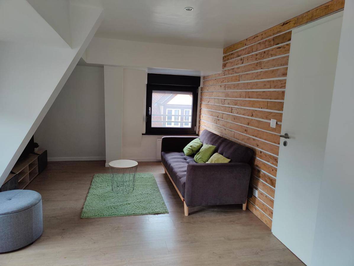 Appartement entier, Le Green Duplex moderne en hypercentre in Sarreguemines