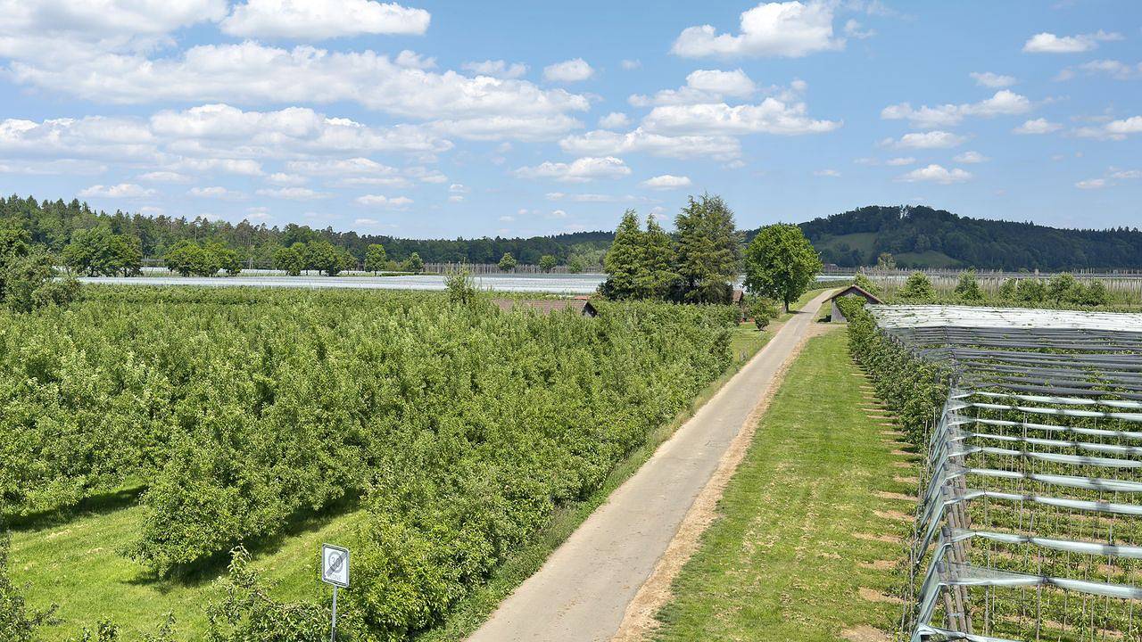 Ganze Ferienwohnung, Ferienwohnung für 8 Personen (130 m²) in Langenargen in Langenargen, Region Bodensee-Oberschwaben