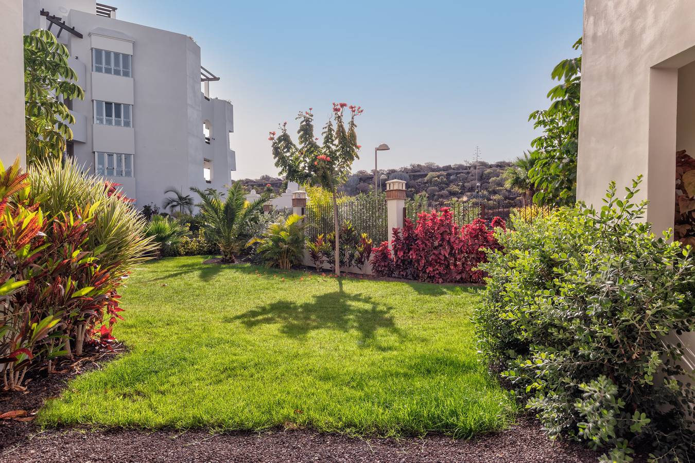 Jardines - Bentago 0.4 Nature Reserve View 2B in Palm-Mar, Arona