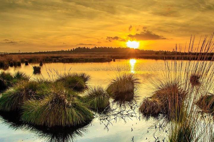 Ferienhaus für 4 Personen, mit Garten in Monschau