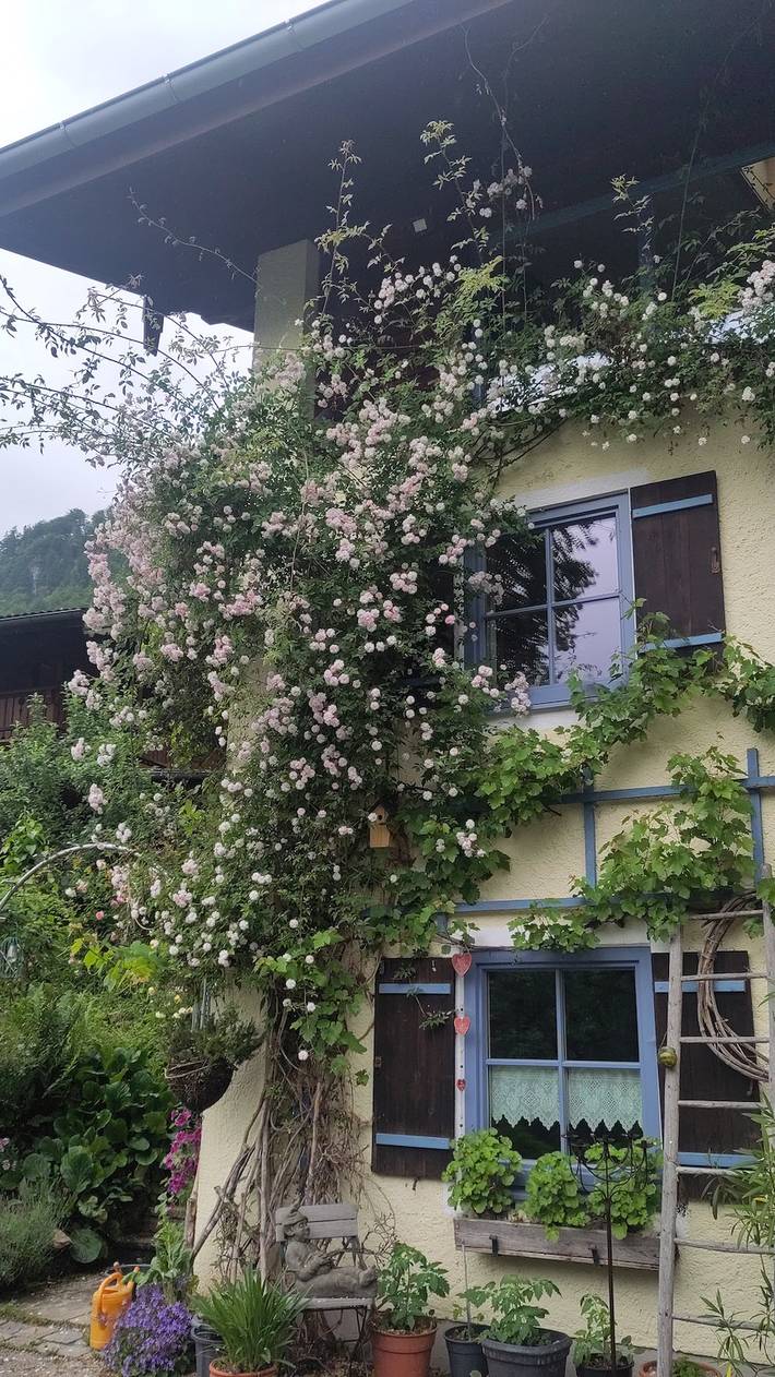 Gîte pour 2 personnes, avec jardin et sauna à Marktschellenberg - 2