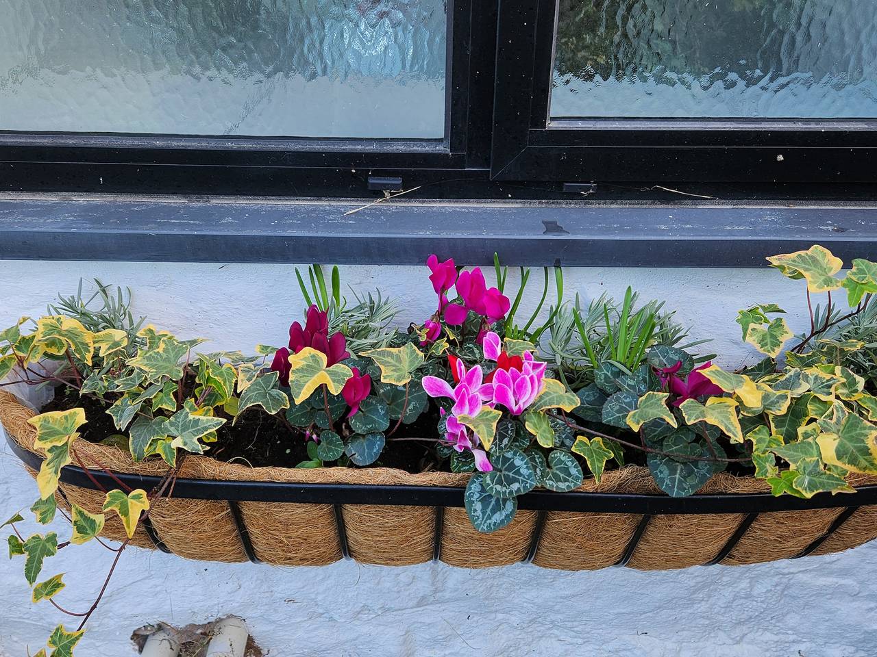 3 Penllan Cottages in Flintshire