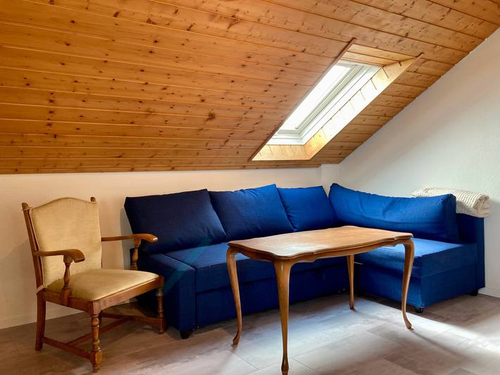 Ferienwohnung für 4 Personen, mit Haustier in Höchenschwand