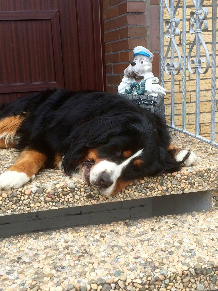 Ferienwohnung für 2 Personen, mit Garten in Carolinensiel - 2