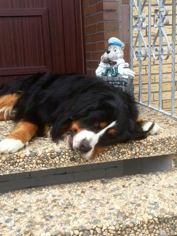 Ferienwohnung für 2 Personen in Carolinensiel, Wittmund, Bild 1