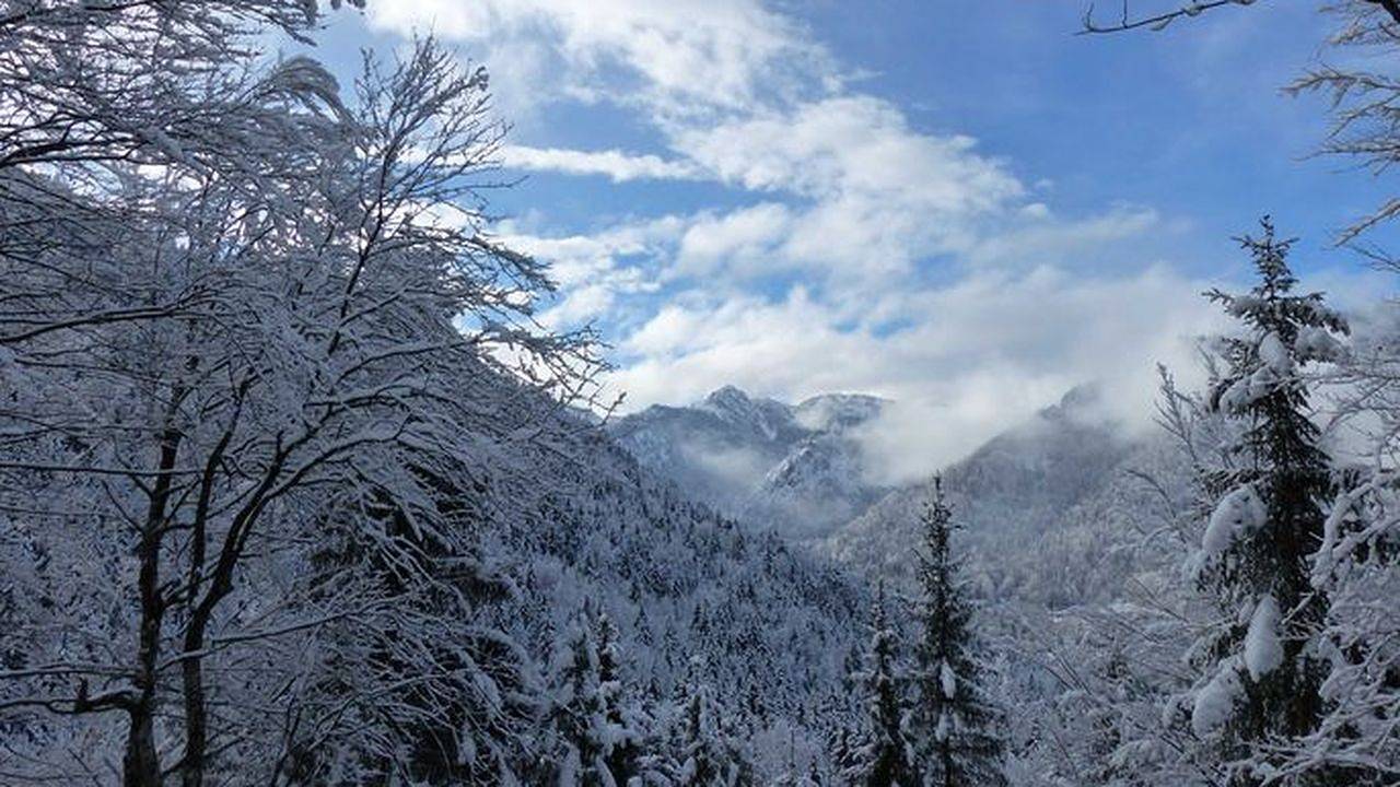 Entire holiday apartment, Ferienwohnung für 4 Personen (70 m²) in Kreuth in Mühlau, Kreuth