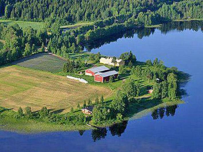 Koivuniemi in Nord-Savo