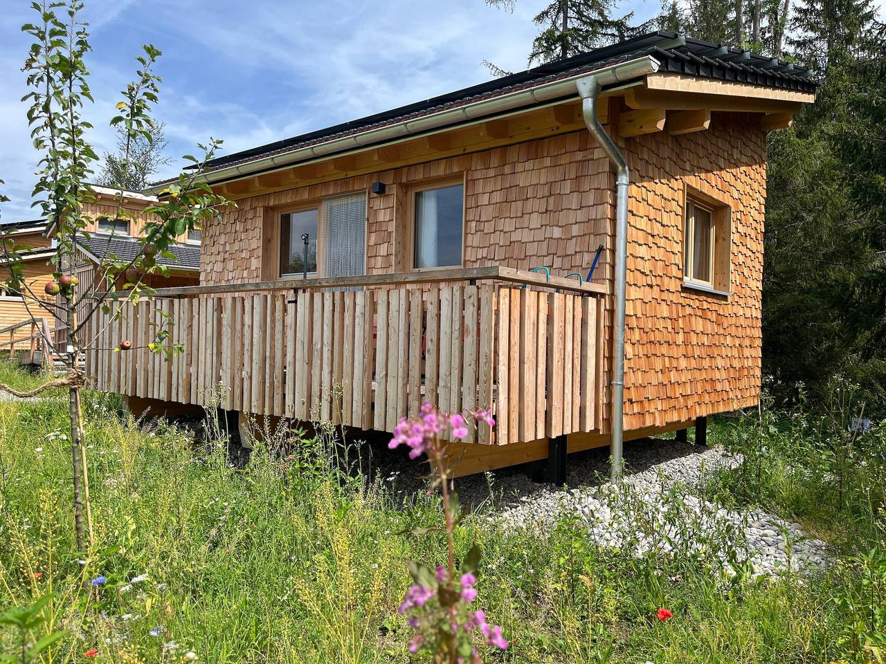 Wald ist Zukunft [Baumhaus Biene] in Bernbeuren, Romantische Straße