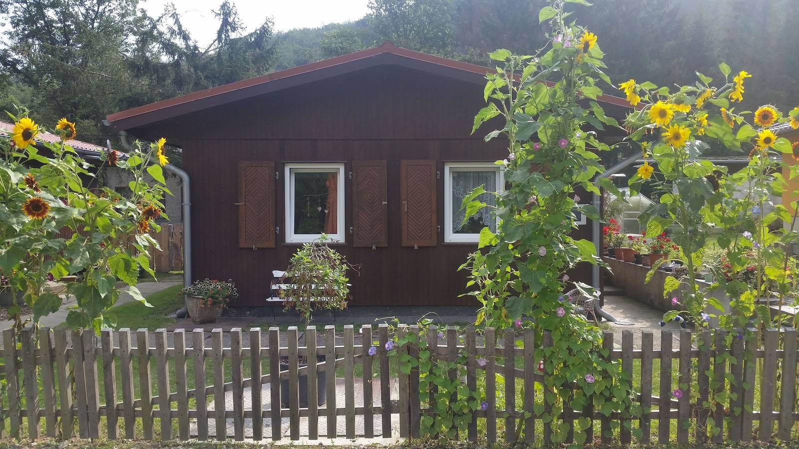 Knusperhäuschen am Waldesrand in Wernigerode, Harzvorland