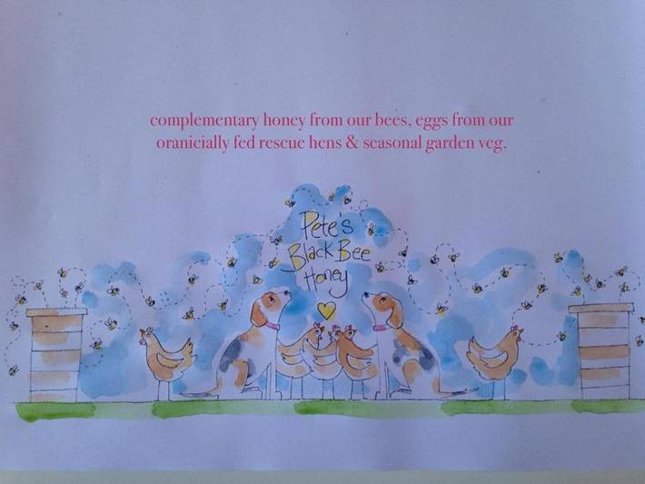 Gîte pour 4 personnes, avec vue dans Schull - 3