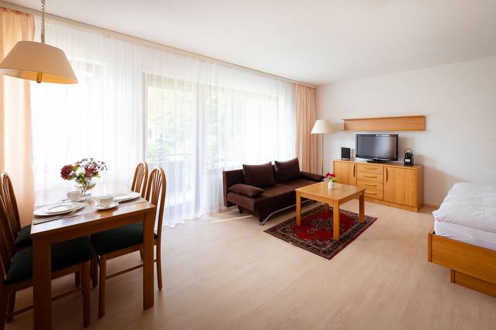 Ganzes Studio, Fewo Schneckenhalde App. 12 mit Balkon und Wlan in Bad Säckingen, Südschwarzwald