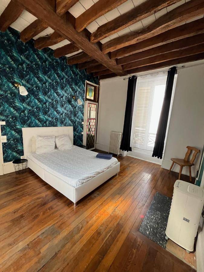 Gîte pour 18 personnes, animaux acceptés à Orléans - 3