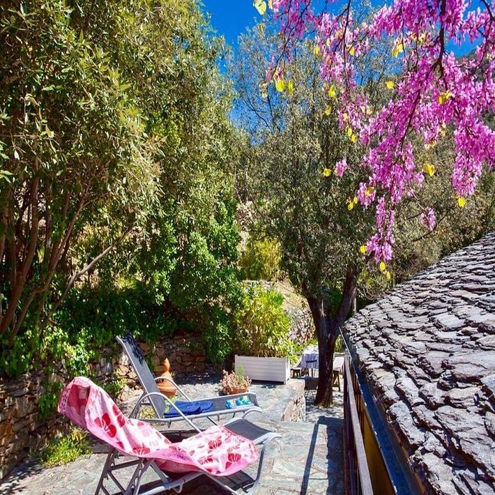Gîte pour 2 personnes, avec jardin à Olmeta-di-Capocorso - 4